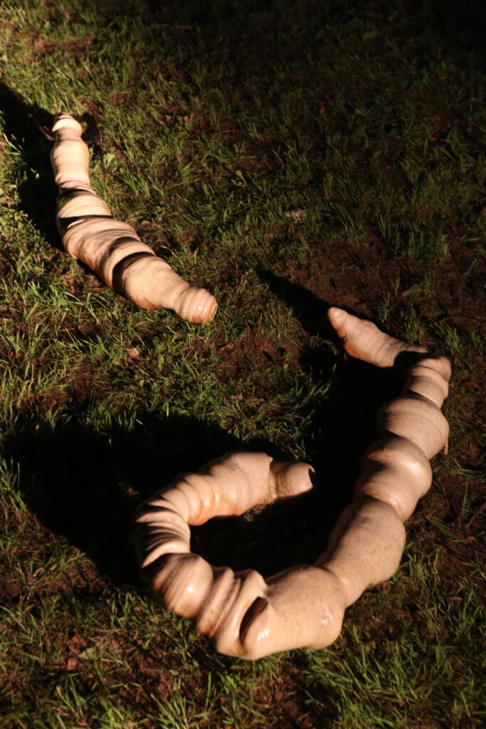 Interview your Intestines by Irene Zenonos