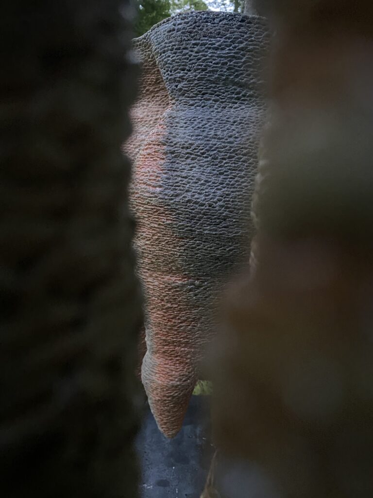 Untitled (detail) by Eyvind Solli Andreassen. Photo by Jekaterina Kultajeva